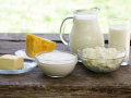 Dairy Products and Services in Presto Idaho