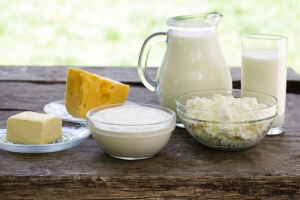 Dairy Products and Services in Presto Idaho